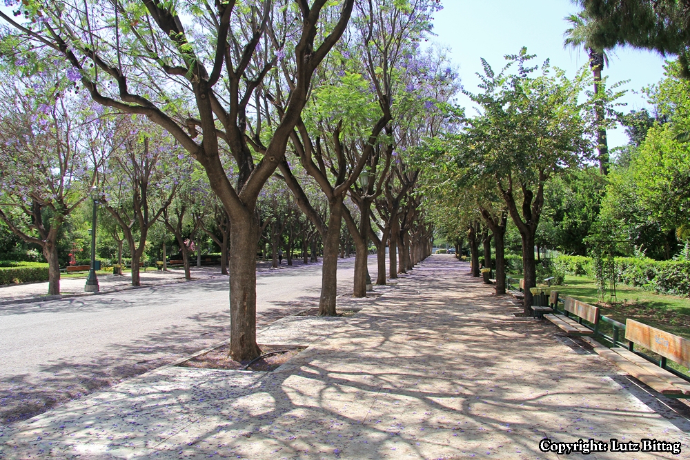 Im Nationalgarten von Athen