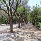 Im Nationalgarten von Athen