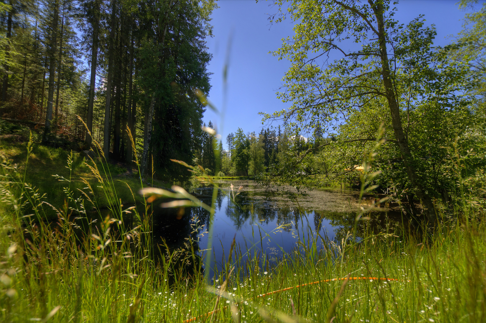 Im Nationalpark Foto & Bild deutschland, europe, bayern Bilder auf