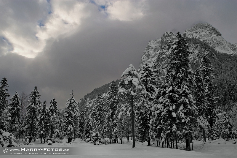 Im Nationalpark Berchtesgadener Land