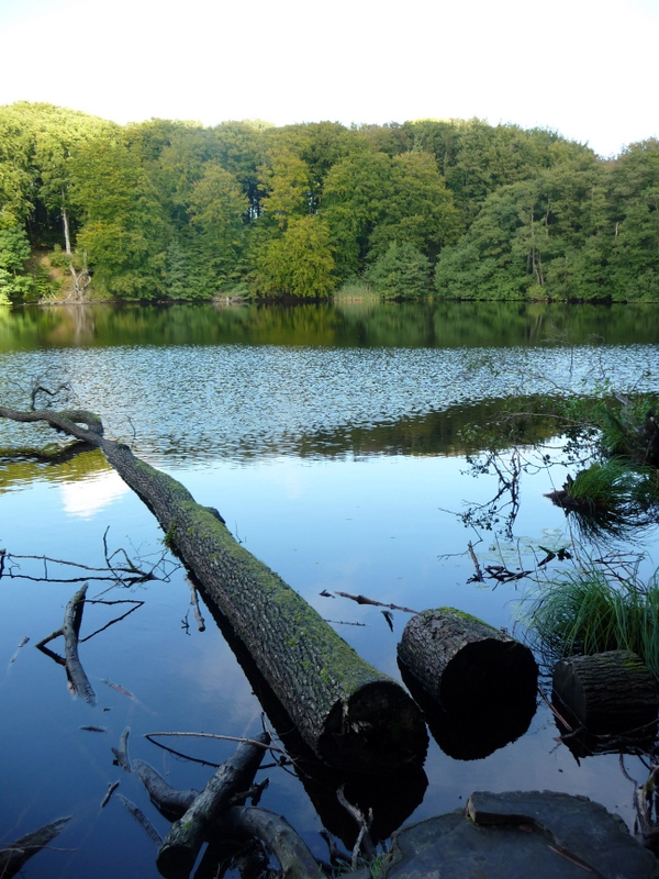 Im Nationalpark Jasmund