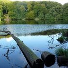 Im Nationalpark Jasmund