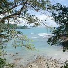 Im Nationalpark Manuel Antonio...2