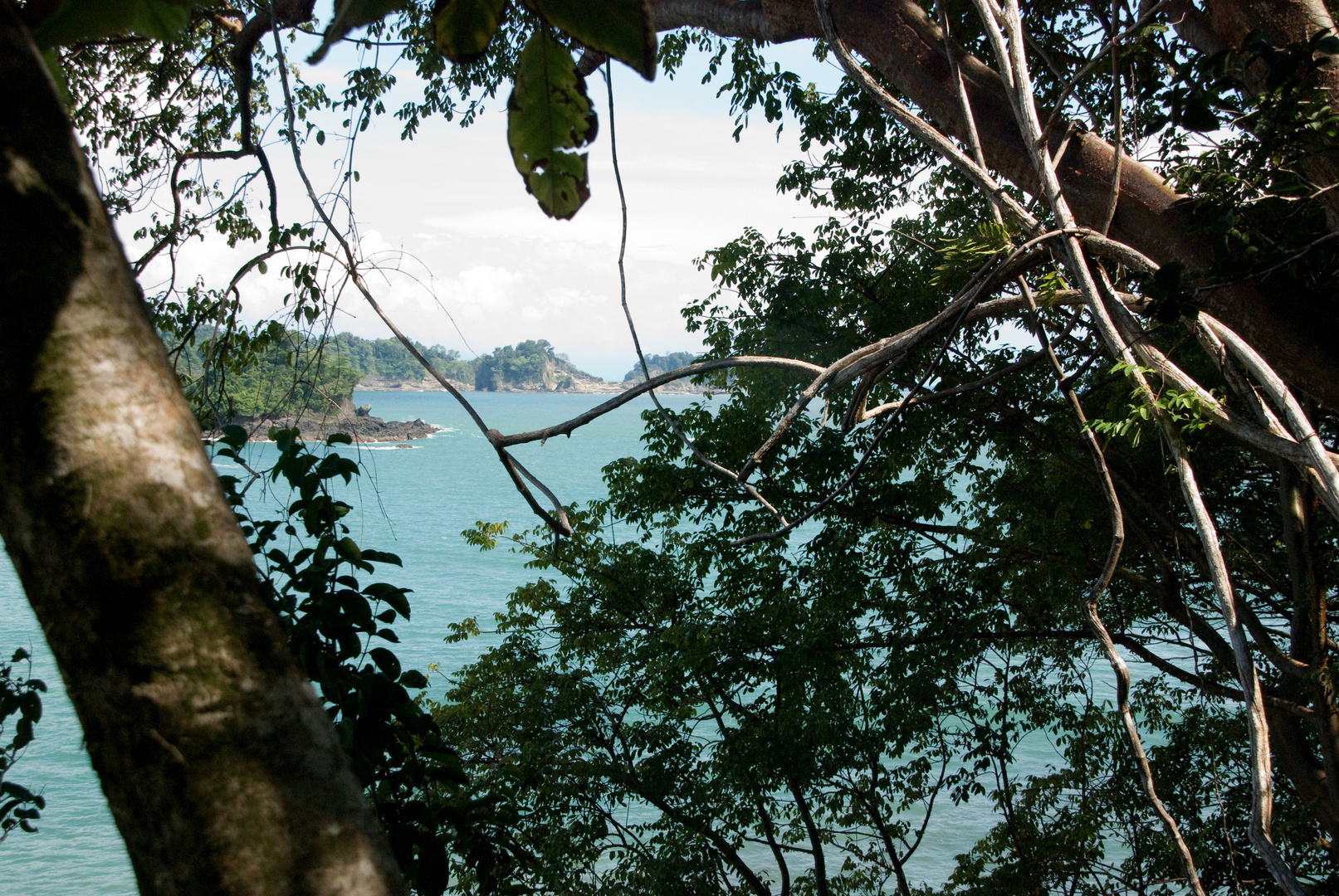 Im Nationalpark Manuel Antonio...3