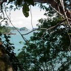 Im Nationalpark Manuel Antonio...3