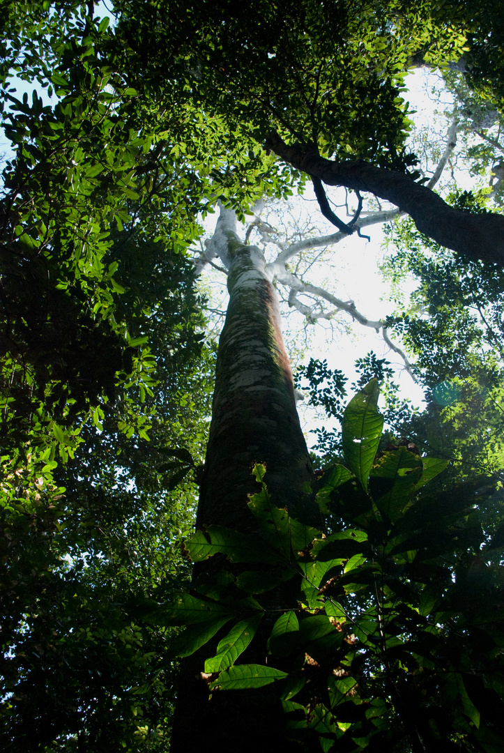 Im Nationalpark Manuel Antonio...4