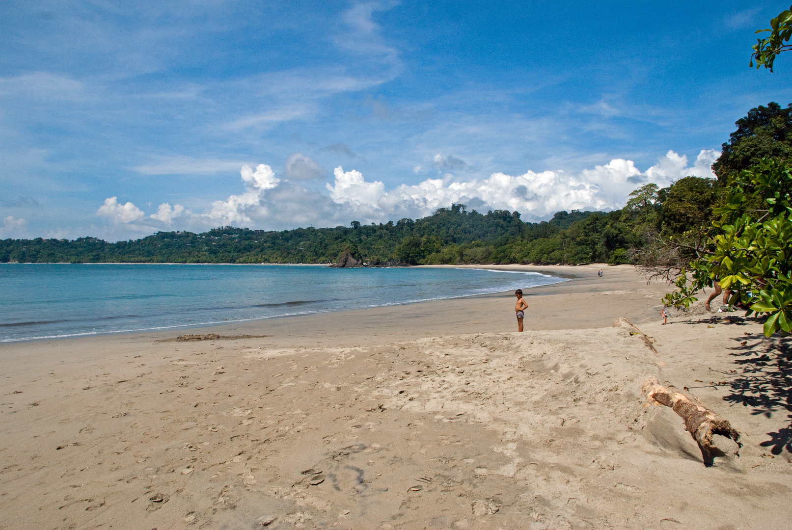 Im Nationalpark Manuel Antonio...5