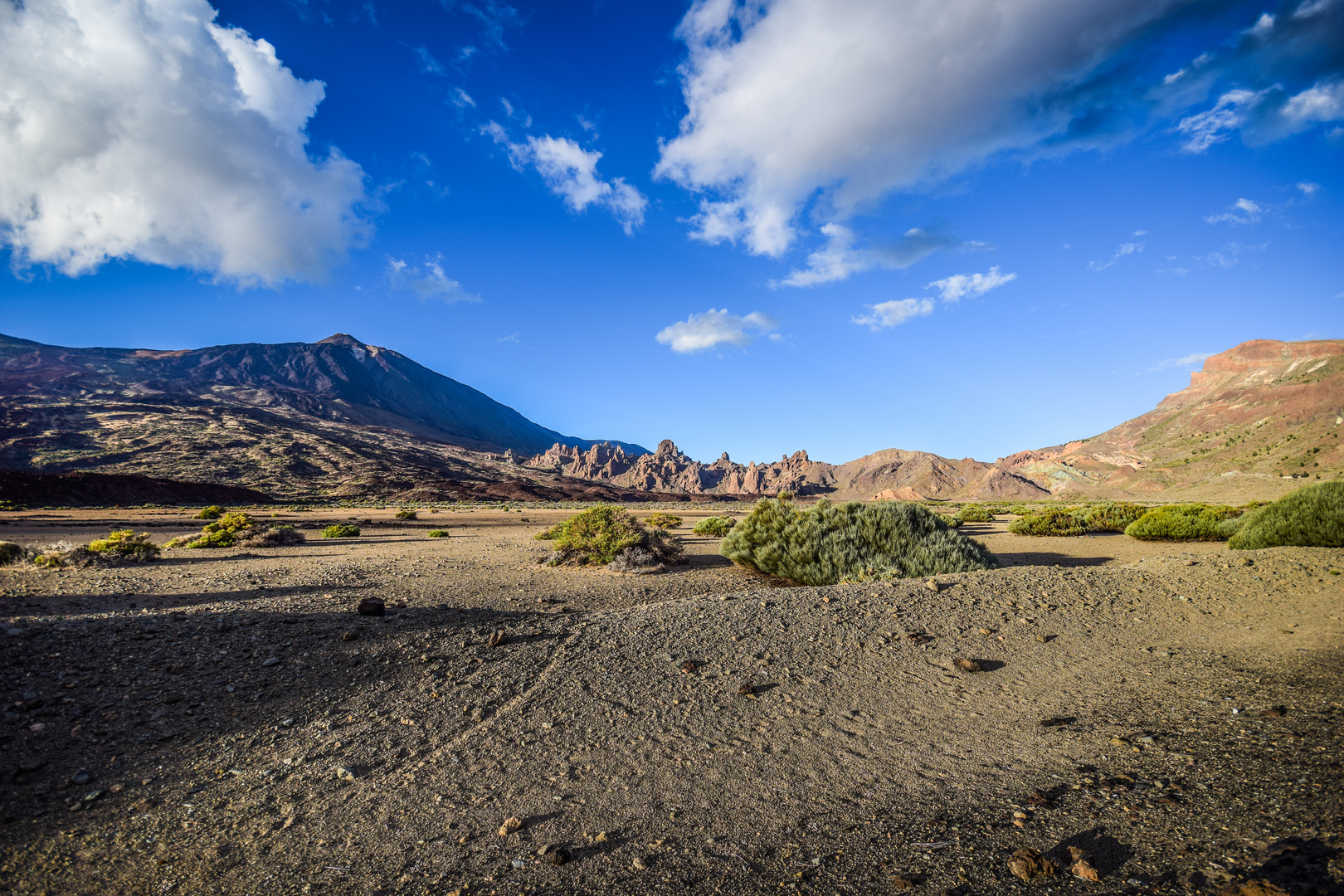 im Nationalpark Pico del Teide