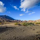 im Nationalpark Pico del Teide