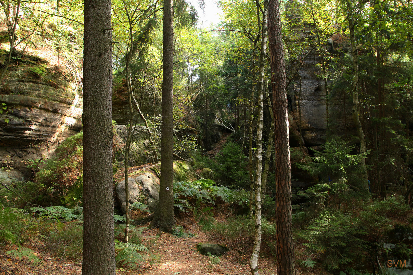 Im Nationalpark Sächsische Schweiz