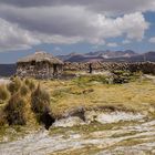 im Nationalpark Sajama