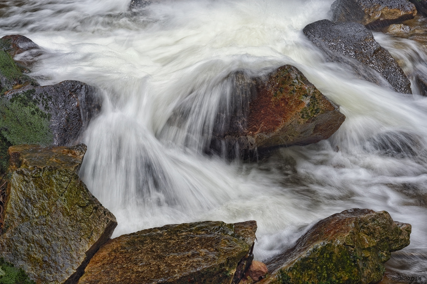 im Nationalpark Schwarzwald ...