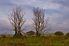 Im Nationalpark Unteres Odertal 02