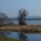 Im Nationalpark Unteres Odertal......