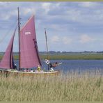 im Nationalpark von Zingst