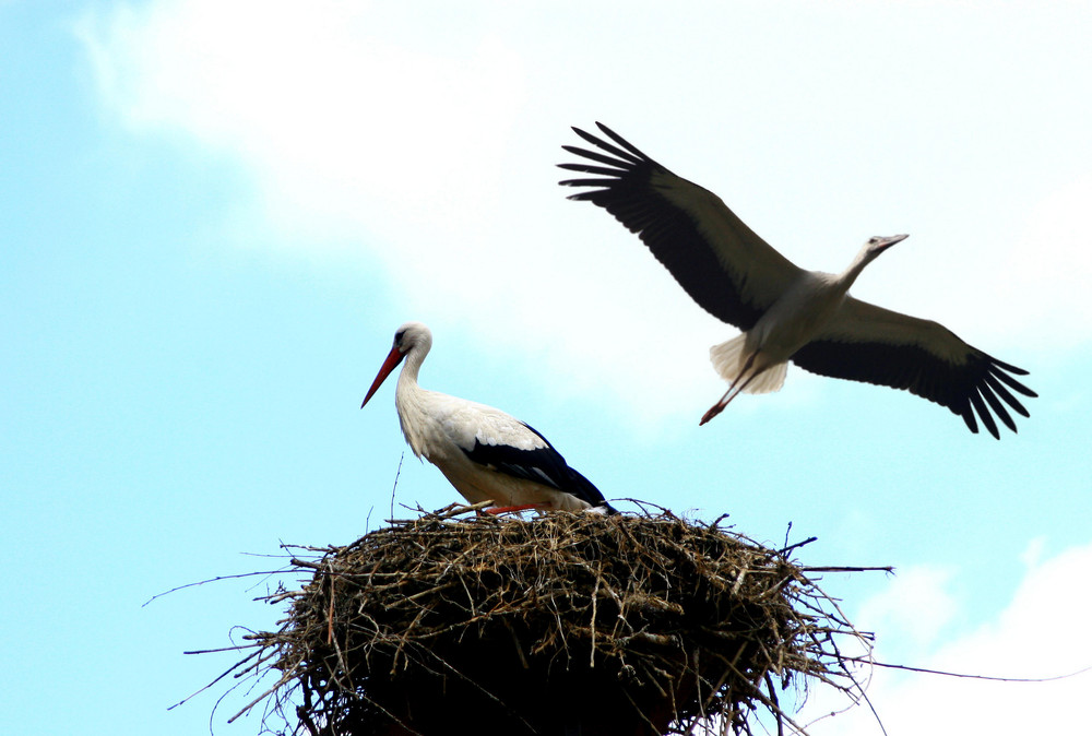 Im Natur-Zoo Rheine