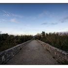 Im Naturpark Albufera