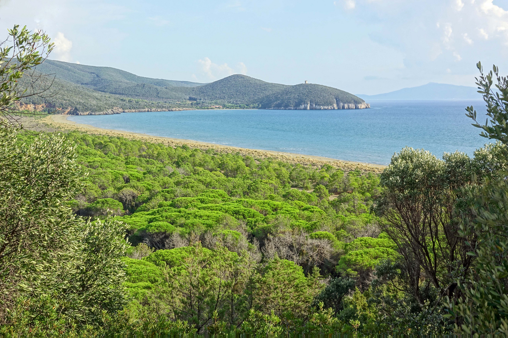 Im Naturpark der Maremma