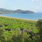 Im Naturpark der Maremma