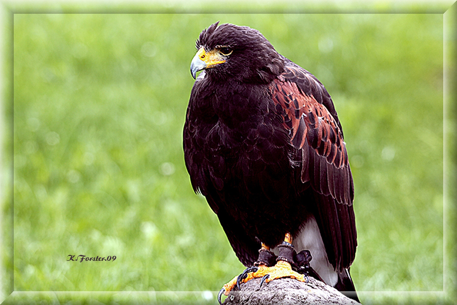 Im Naturpark Freisen