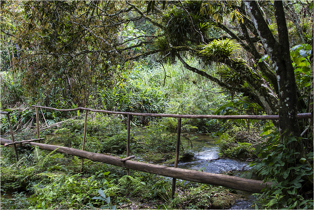 im Naturpark Guanayara 2