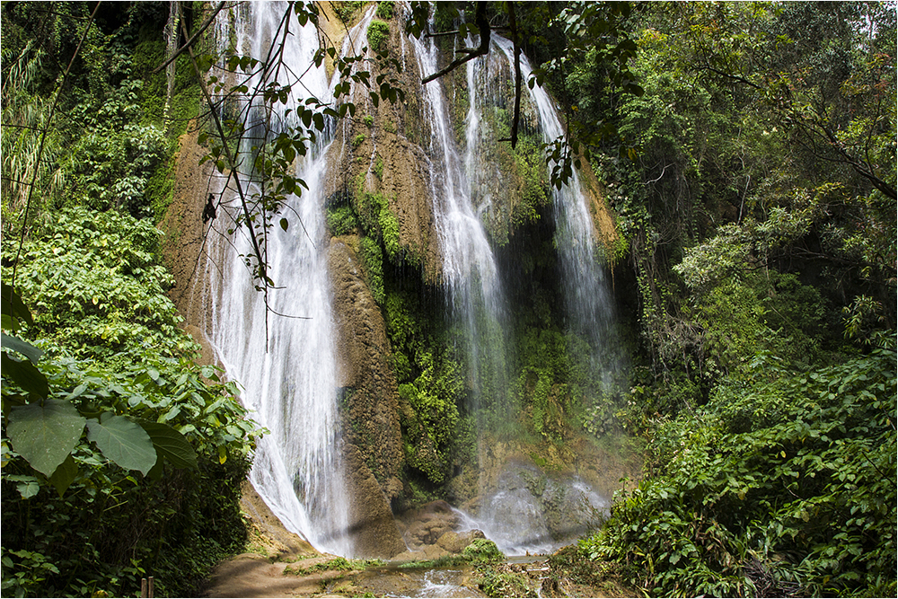 im Naturpark Guanayara