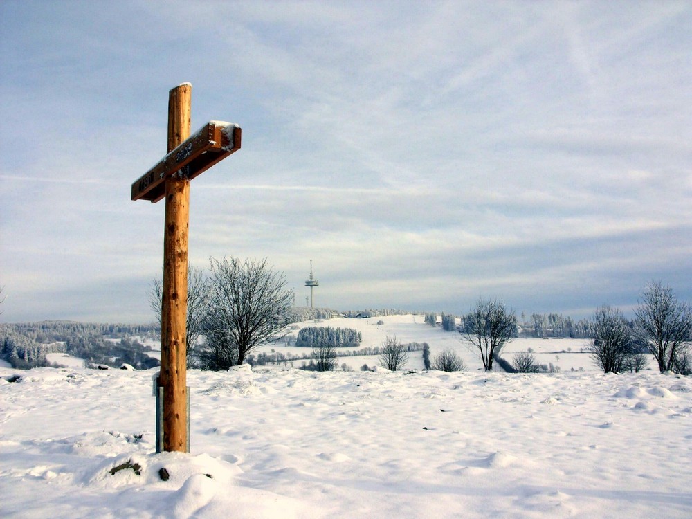 Im Naturpark Hoher Vogelsberg