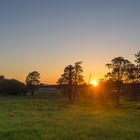 Im Naturpark Nuthe-Nieplitz