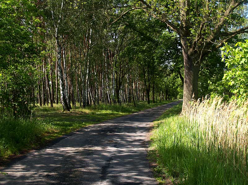 Im Naturpark Nuthe-Nieplitz