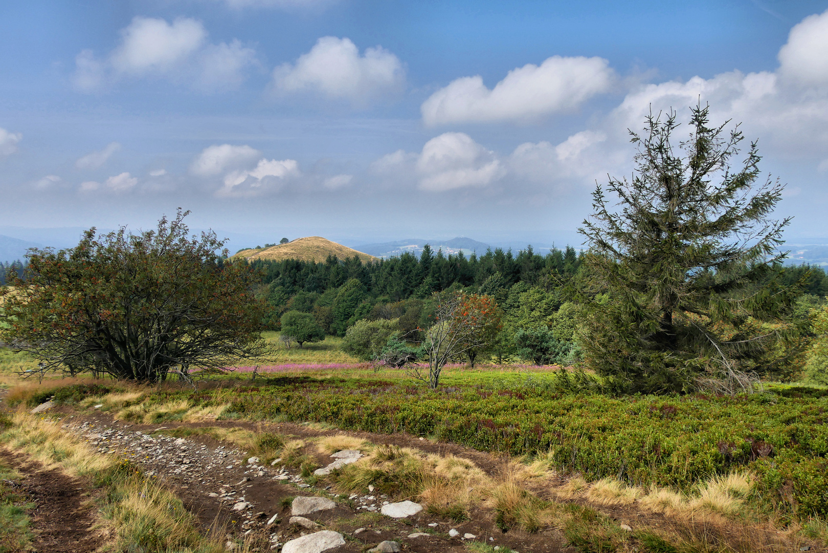 im Naturpark Rhön...