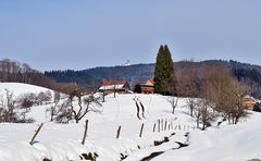 Im Naturpark Südschwarzwald