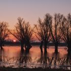 Im Naturpark Westhavelland