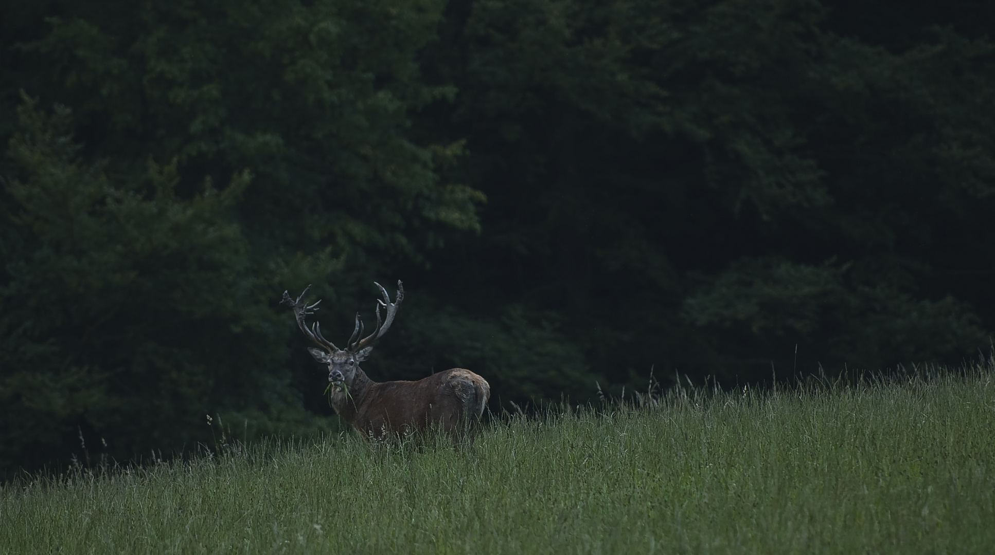 Im Naturpark_Hardehausen