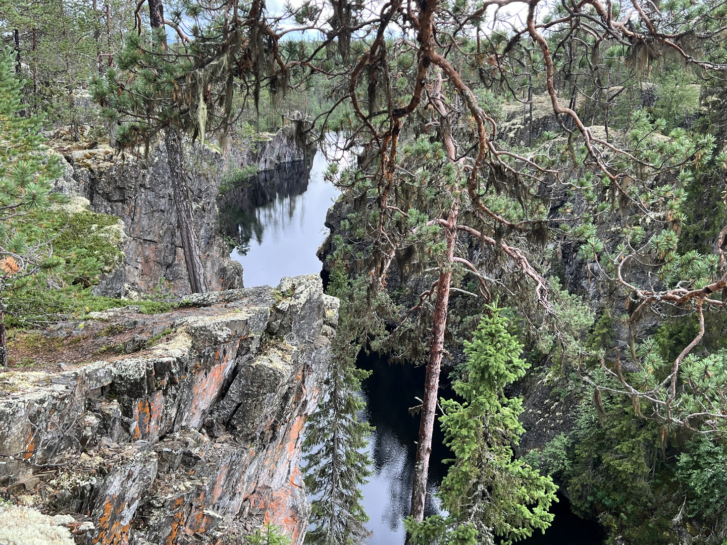 Im Naturreservat Gimegolts bei Sorsele...