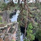 Im Naturreservat Gimegolts bei Sorsele...