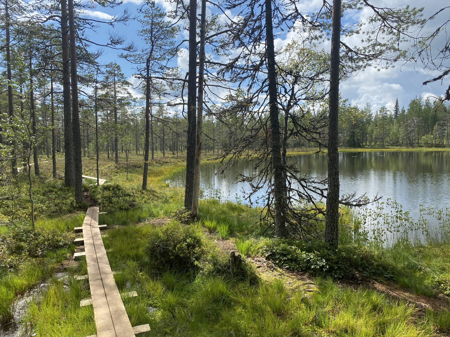 Im Naturreservat Grönklitt...