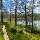 Im Naturreservat Grönklitt...