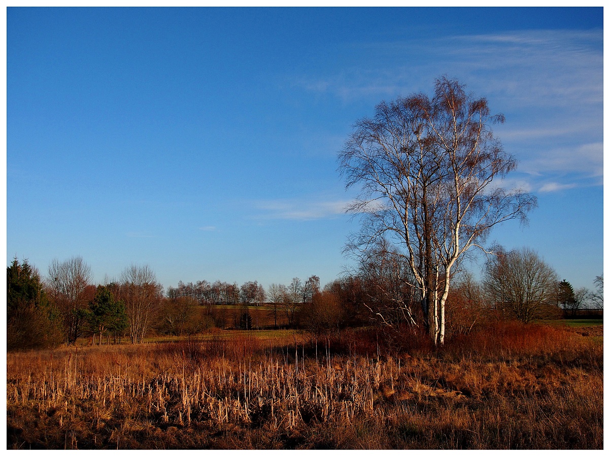 Im Naturschutzgebiet