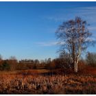 Im Naturschutzgebiet