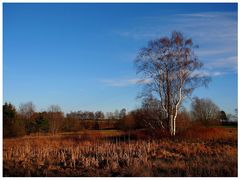 Im Naturschutzgebiet