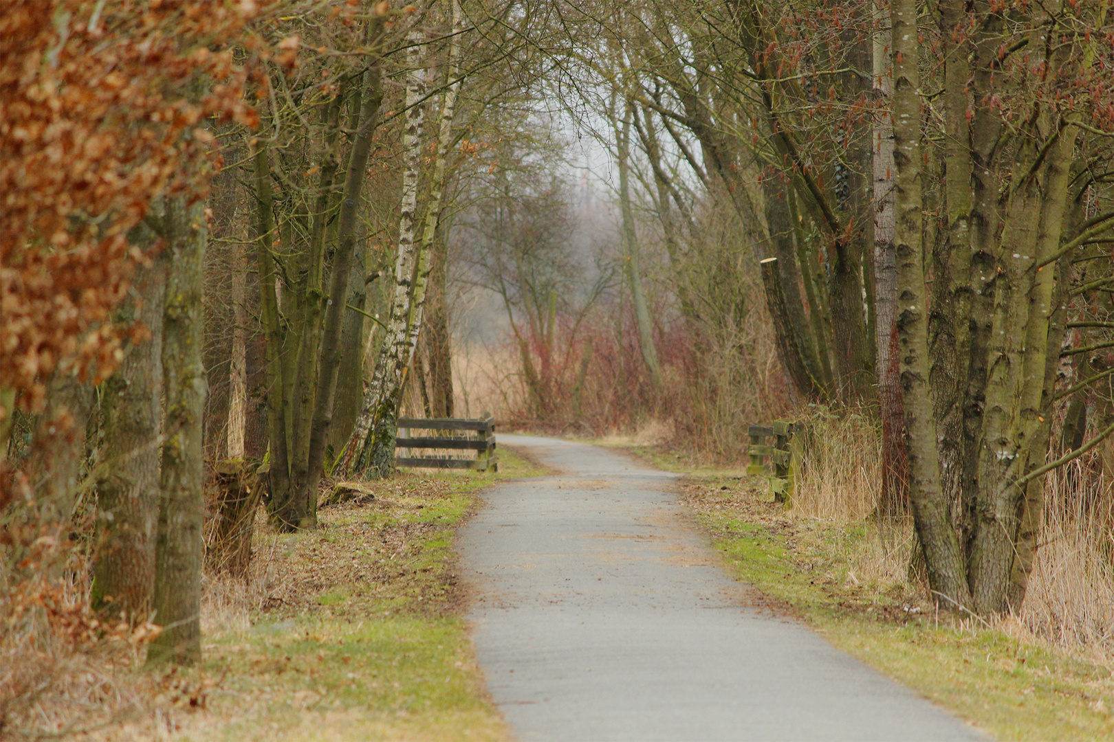 Im Naturschutzgebiet