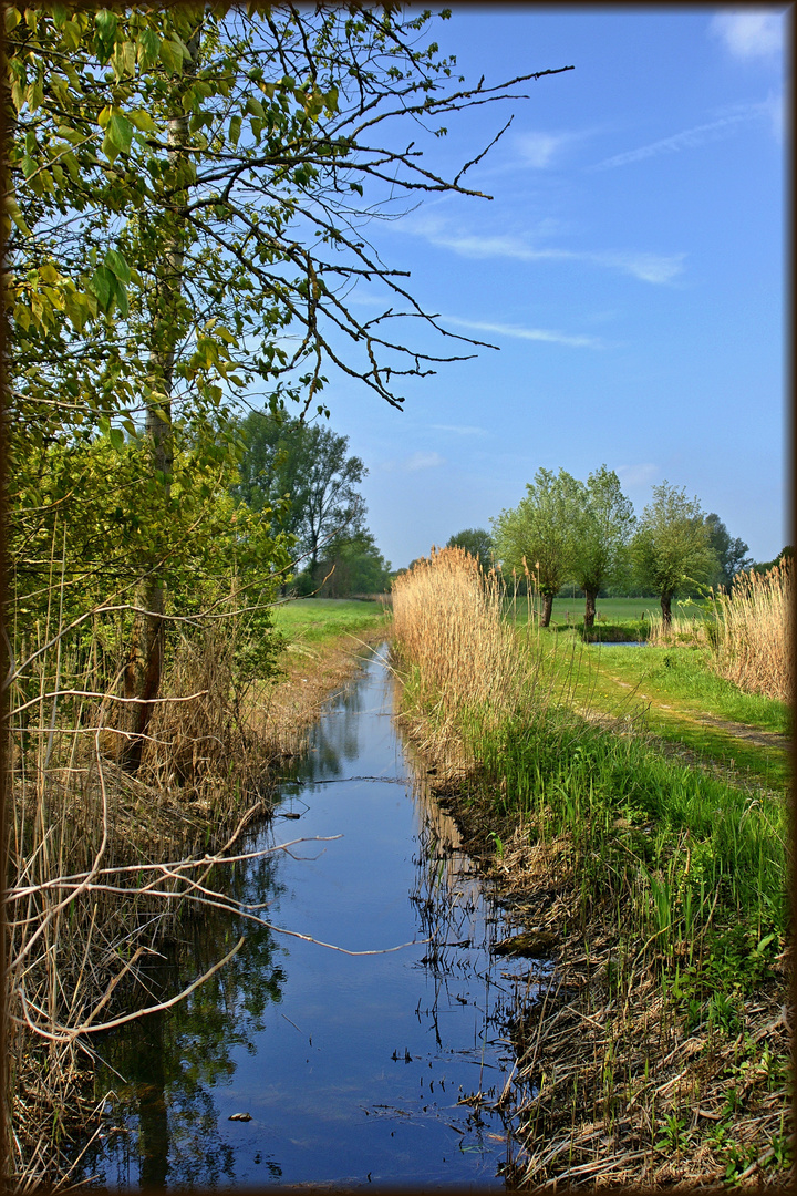 Im Naturschutzgebiet Foto & Bild landschaft, bach, fluss & see