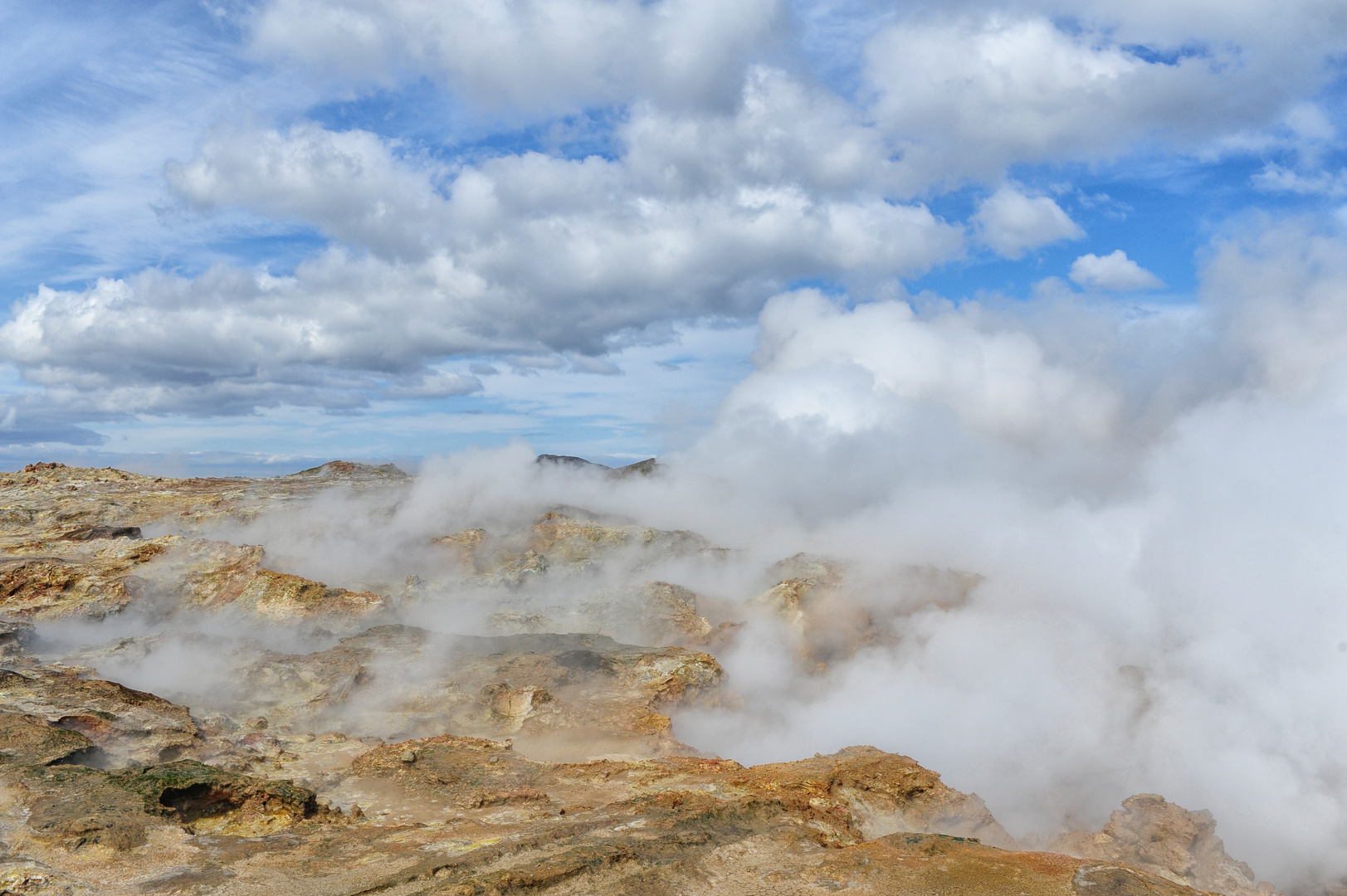 im Naturschutzgebiet