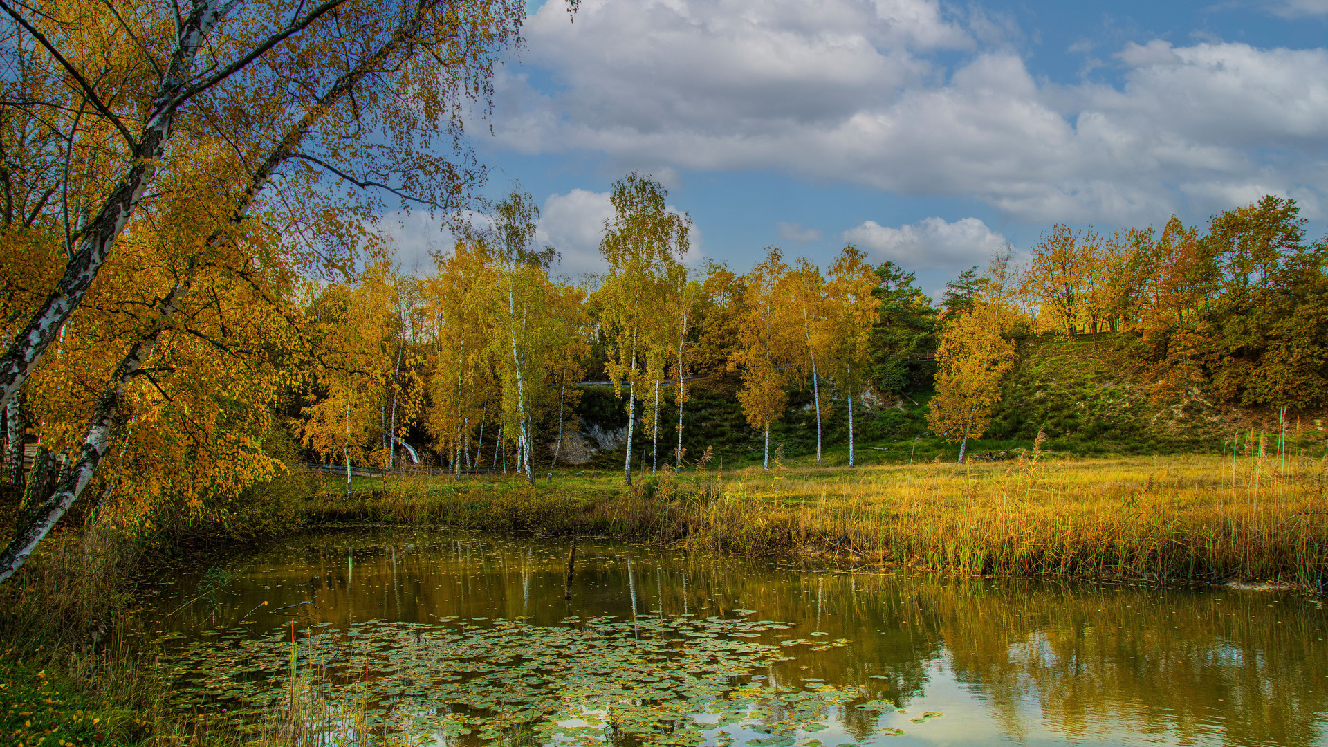 IM NATURSCHUTZGEBIET