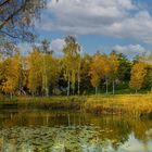 IM NATURSCHUTZGEBIET