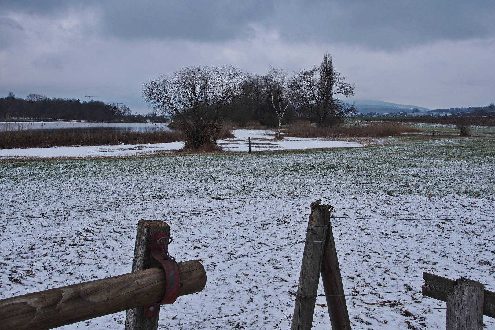 im Naturschutzgebiet bei Zürich