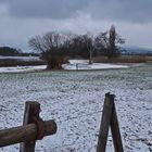 im Naturschutzgebiet bei Zürich