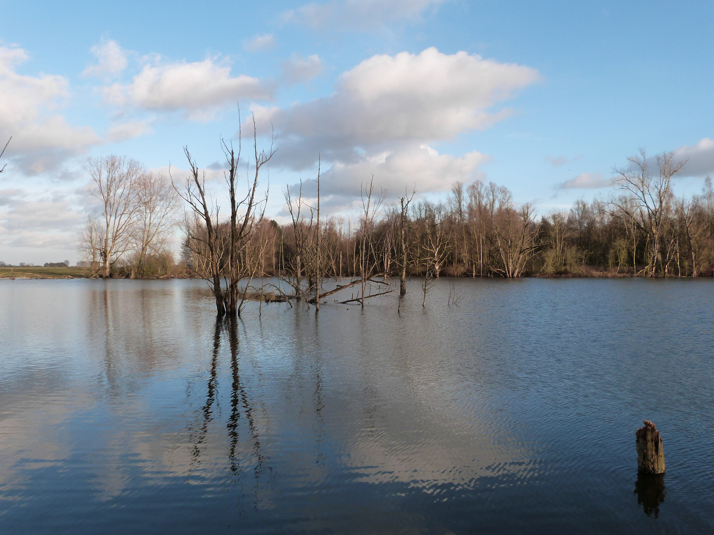 Im Naturschutzgebiet Bislicher Insel