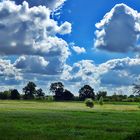 Im Naturschutzgebiet Disselmersch.