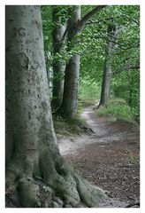 Im Naturschutzgebiet Goor-Muglitz